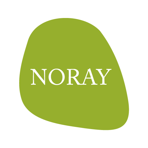 Noray Terapia y Formación